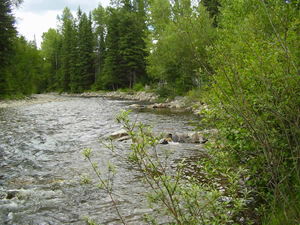 Bendway weirs, Mission Creek